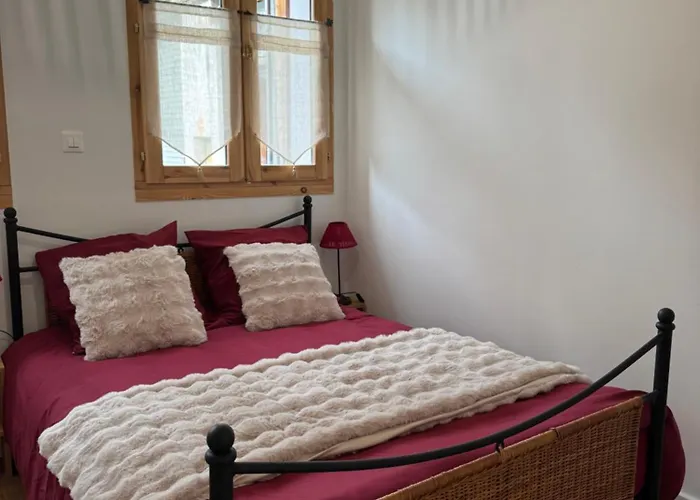 L'etoile Des 2 Villages - Le Janremon - Rez-de-chaussee - Acces Skis Aux Pieds *