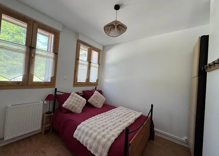 L'etoile Des 2 Villages - Le Janremon - Rez-de-chaussee - Acces Skis Aux Pieds Les Deux Alpes