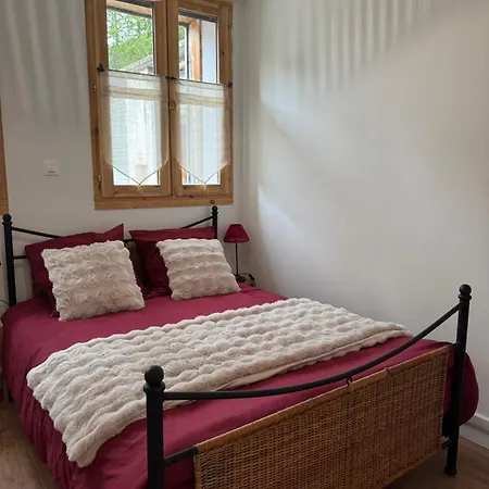 L'etoile Des 2 Villages - Le Janremon - Rez-de-chaussee - Acces Skis Aux Pieds *