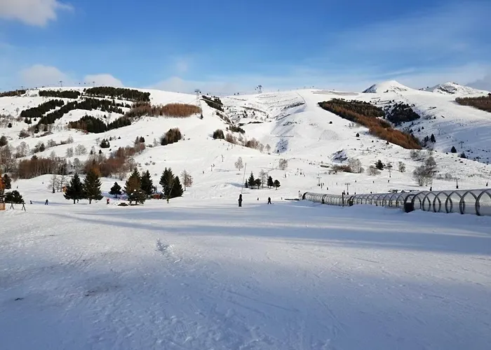 Апартаменты L'etoile Des 2 Villages - Le Janremon - Rez-de-chaussee - Acces Skis Aux Pieds Ле дез Альп